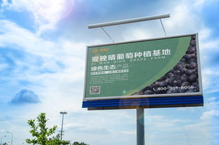 戶(hù)外高炮廣告設(shè)計(jì) 葡萄產(chǎn)品推廣的藝術(shù)與策略